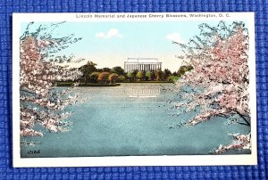 Vtg c1920 Lincoln Memorial and Japanese Cherry Blossoms Washington DC Postcard