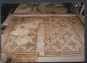 Sussex Postcard - Fishbourne Roman Palace - Geometric Mosaic  T7069