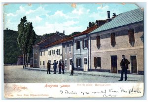 1907 Palace Street Hofburg-Gasse Cetinje Montenegro Antique Posted Postcard
