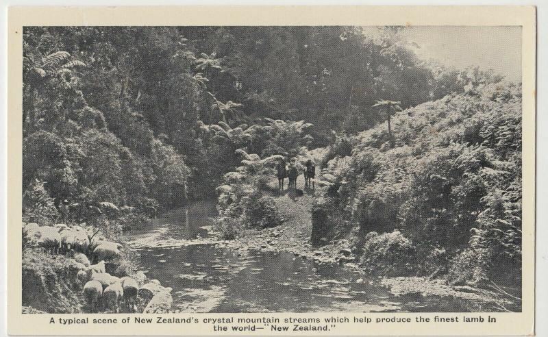 New Zealand's Crystal Mountain Streams, Finest Lamb In The World PPC, c 1920 