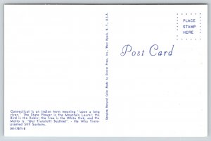 State Maps~Greetings From Connecticut~Robin & Mountain Laurel~Green Bkgd~PC