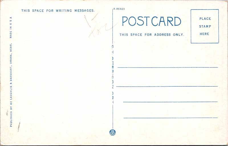 Postcard HOUSE SCENE Florence Nebraska NE AO7063