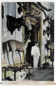 Saint Thomas Museum, Manila, P. I. - Postcard