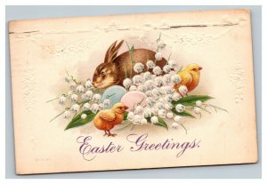Vintage 1910 Easter Postcard Cute Bunny Chicks Colored Eggs White Flowers NICE