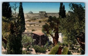 JERUSALEM Garden of Gethsemane ISRAEL Postcard