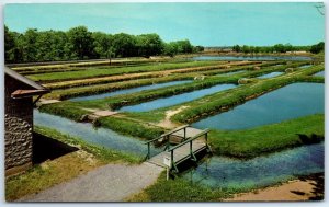 M-47799 Fish Hatchery Huntsdale in Cumberland County near Carlisle Pennsylvan...