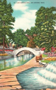 Vintage Postcard 1930's View of The Beautiful San Antonio River Texas TX