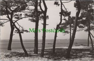 France Postcard - Le Moulleau - Les Pins Et La Plage - Arcachon RS30986