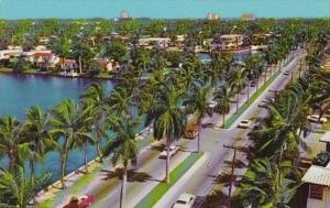 Florida Fort Lauderdale Aerial View Of Palm Lined Las Olas Boulevard