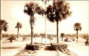 RPPC Tropical Drive at Clearwater FL Real Photo Vintage Postcard H50