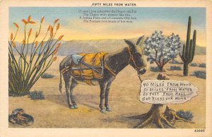 Desert Donkey Donkey Postal Used Unknown 