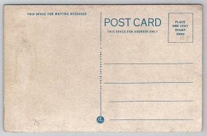 Brazil IN Indiana Carnegie Public Library Postcard A41