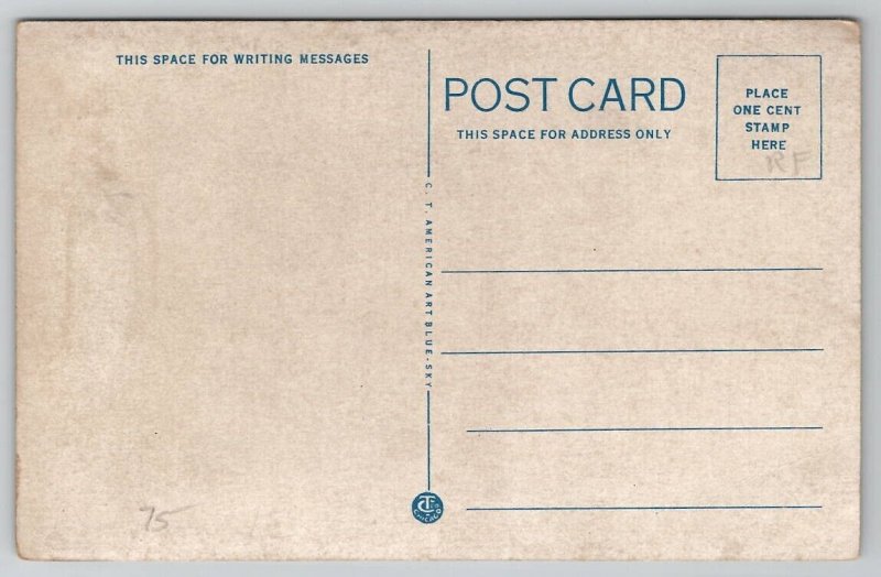 Brazil IN Indiana Carnegie Public Library Postcard A41