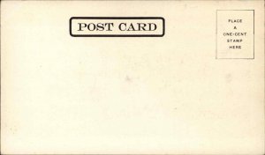 Pontiac Illinois IL Main St. Bridge c1905 Postcard