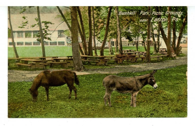 PA - Easton. Bushkill Park, Picnic Grounds