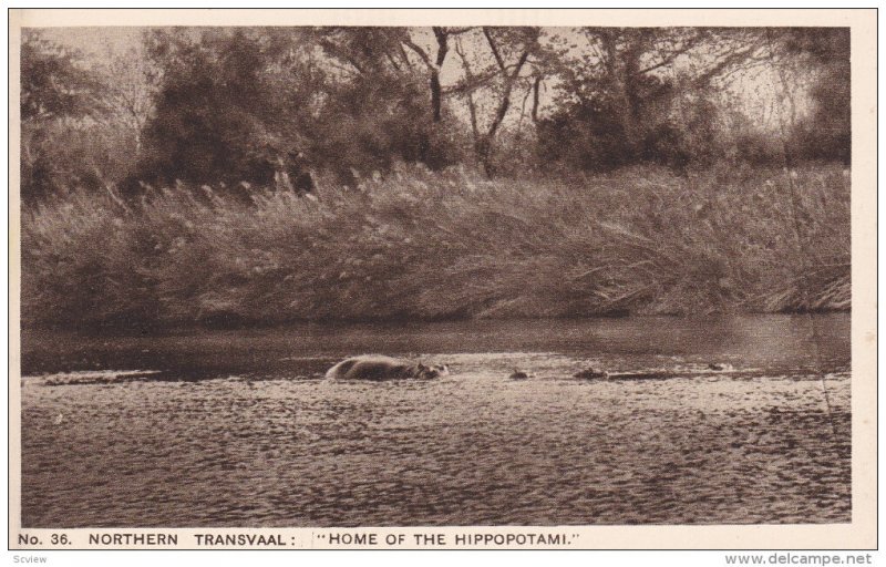 NORTHERN TRANSVAAL, South Africa, 10-20s; Home of the Hippopotami