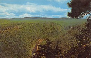 North View, East Rim of Penna. Grand Canyan near Wellsboro - Wellsboro, Penns...