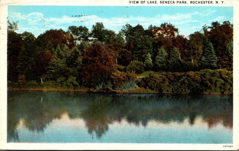 New York Rochester Seneca Park View Of Lake 1929 Curteich