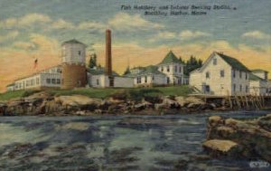 Fish Hatchery & Lobster Rearing Station - Boothbay Harbor, Maine ME  