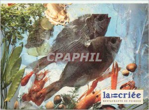 Modern Postcard La Criee Restaurant Fish and Seafood