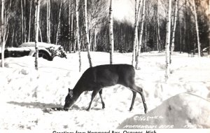 VINTAGE POSTCARD REAL PICTURE POSTCARD (RPPC) DEER HAMMOND BAY OCQUEOC MICHIGAN