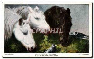 Postcard Old Tate Frugal Meal Herring Horse Horse