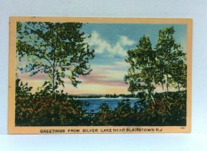 Blairstown New Jersey NJ Silver Lake Linen Vintage Postcard 