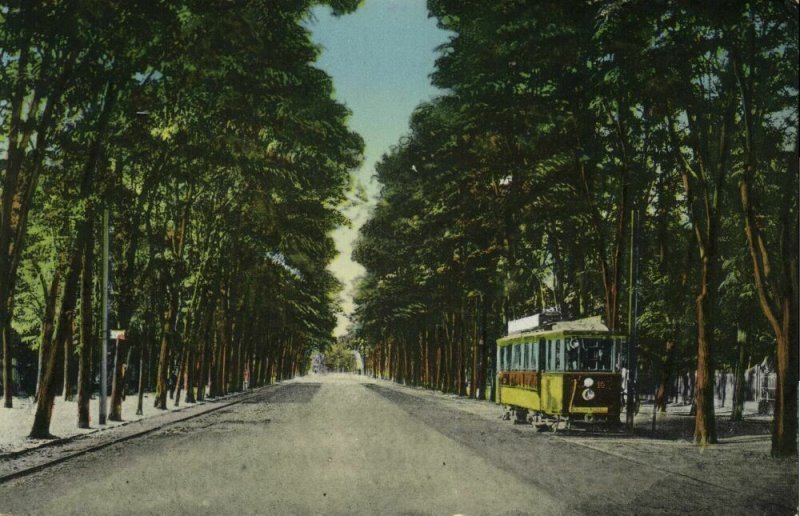 hungary, DEBRECEN DEBRECZIN, Nagyerdei Fasor, Tram Street Car (1910s) Postcard