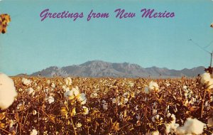 Cotton Field and Florida Mountains Misc, New Mexico NM s 