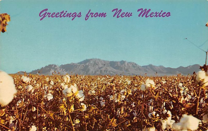 Cotton Field and Florida Mountains Misc, New Mexico NM