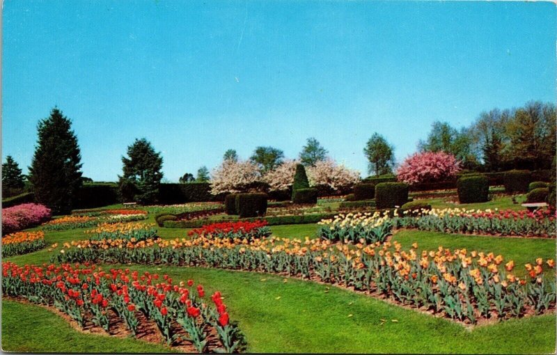 Hershey Pennsylvania Rose & Tulip Gardens Scenic Flowers Chrome Postcard 