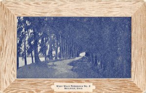 Bellevue Ohio 1910 Postcard West Walk Reservoir No. 2 Wood grain Border