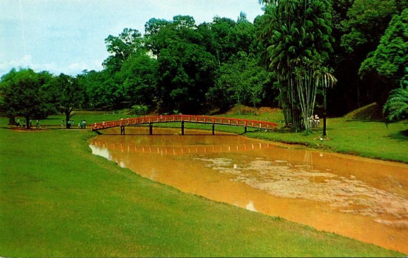 Malaya Kuala Lumpur The Lake Garden