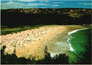 Postcard Sand Beach Atlantic Ocean Unique Recreation Granulates Sea Shells