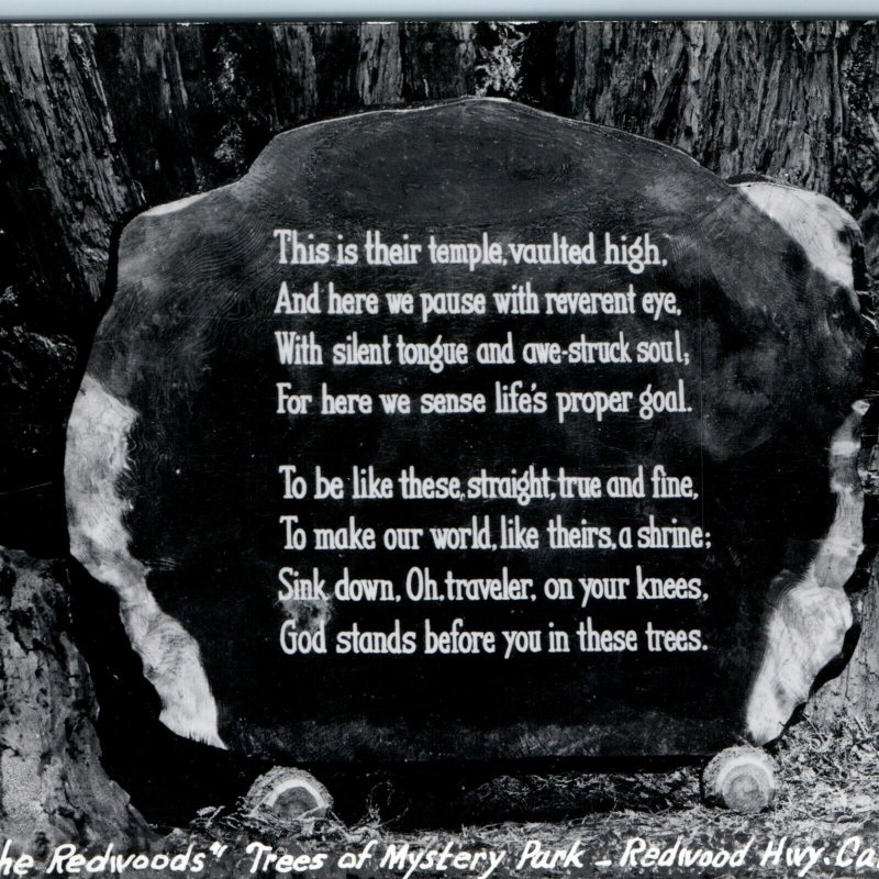 c1950s Redwood Hwy CA RPPC Shrine Tree Monument Mystery Park Photo God Poem A164