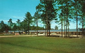 Vintage Postcard Allen's Motel North Okefenokee Swamp South Waycross Georgia GA