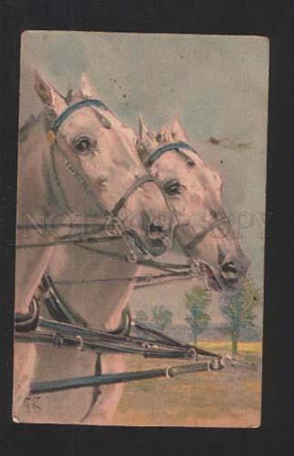 077801 Heads of White HORSE Embossed by KOCH vintage PFB Publ.