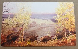 PC UNUSED - MIRRIAMS WILD TURKEYS, WRITING ON BACK SAYS MUSEUM DENVER, COLORADO