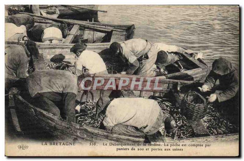 Postcard Old Fishing UK The landing of the Sardine fishing is counted by 200 ...
