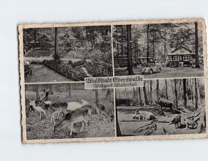 Postcard Wildpark-Wasserfall, Waldstadt Eberswalde, Germany