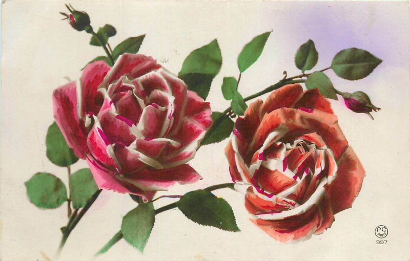 Roses tinted greetings postcard