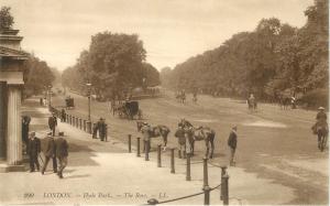 Vintage Postcard London Hyde Park The Row Horses and Buggy England UK