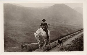 Lakeland Shepherd Dog White Horse England UK Unused Abraham RPPC Postcard H56