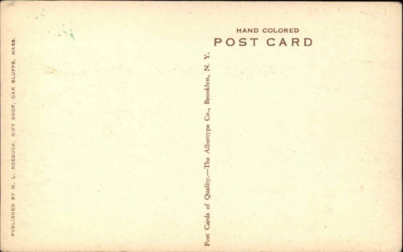 Oak Bluffs Martha's Vineyard MA Harbor c1920s Hand Colored Postcard