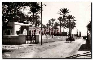 Algeria Biskra Old Postcard Constantine Road Chaiba