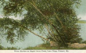 ME - Poland. Maple Grove Point, Lake Tripp