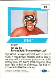 1991 WCW Wrestling Card Sting sk2107