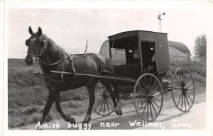 B14/ Wellman Iowa Ia Real Photo RPPC Postcard 1957 Amish Buggy