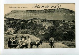 3150632 PERSIA IRAN Ploughing fields Vintage postcard