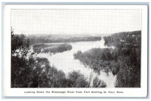 St. Paul Minnesota MN Postcard Looking Down The Mississippi River Scene c1905's